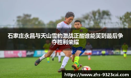 石家庄永昌与天山雪豹激战正酣谁能笑到最后争夺胜利荣耀